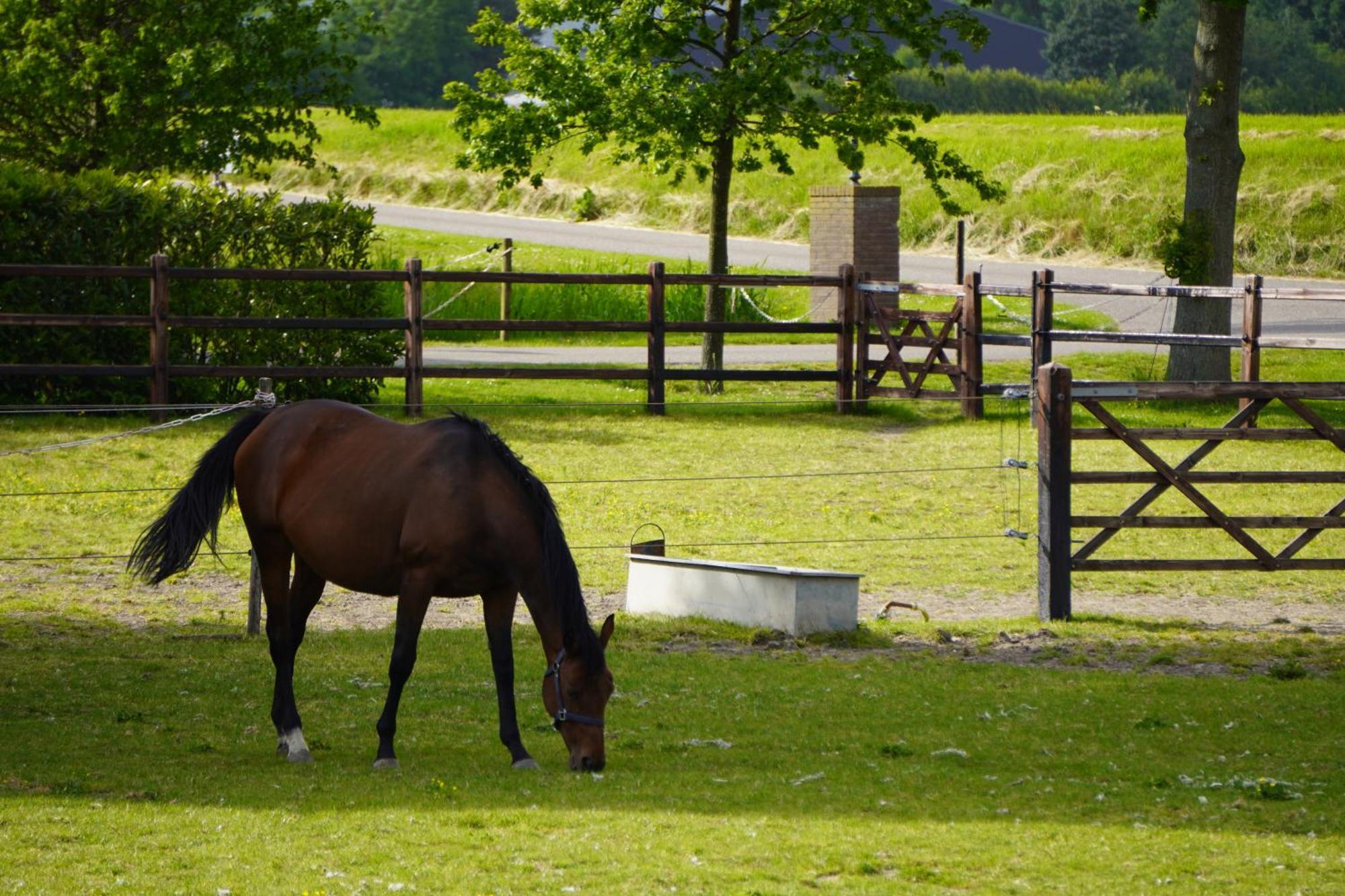 B&B Catharinenburg Golf & Wellness Melissant Zewnętrze zdjęcie